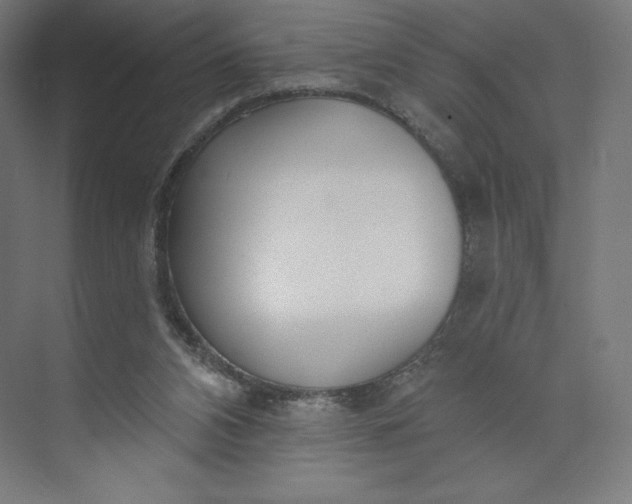 X0000073990112200609061008