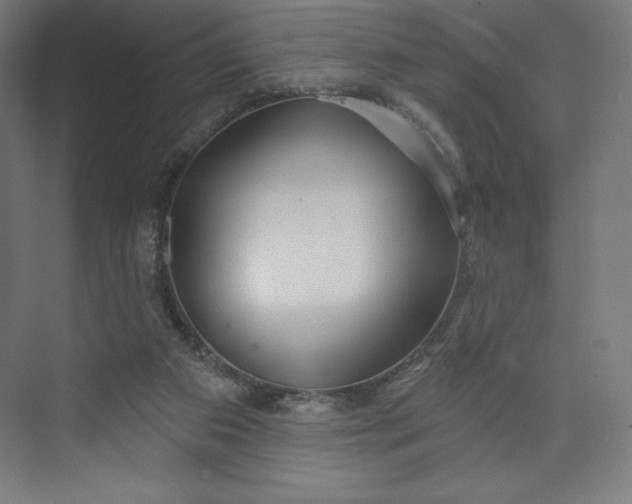 X0000073990113200609061008