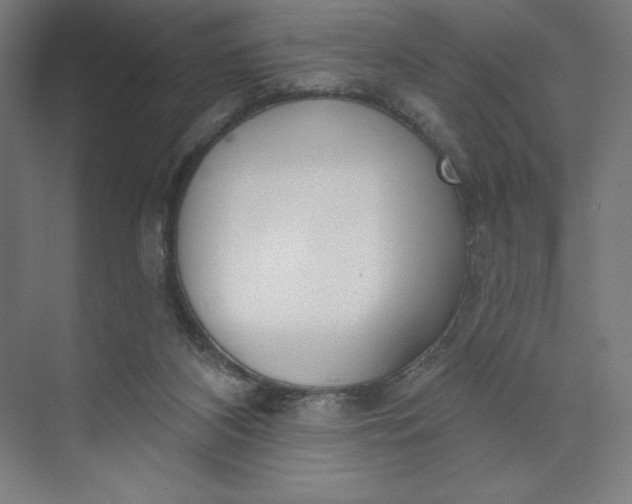 X0000073990116200609061008