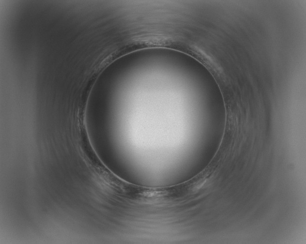 X0000073990117200609061008