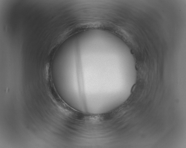 X0000073990118200609061008