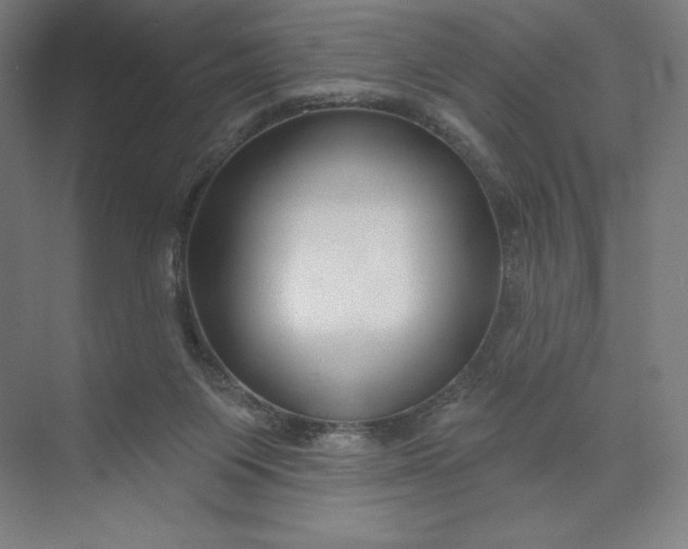 X0000073990119200609061008