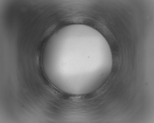 X0000073990120200609061008