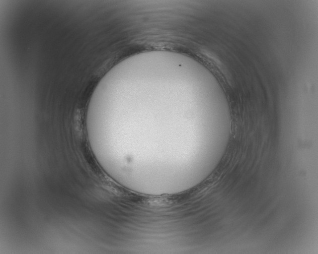 X0000073990121200609061008