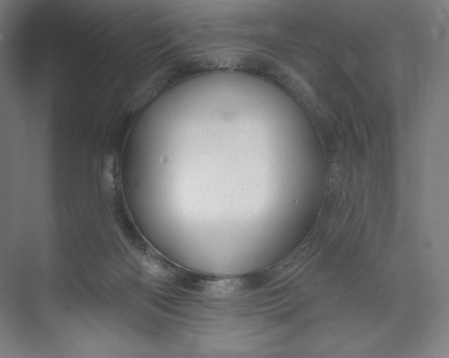 X0000073990122200609061008