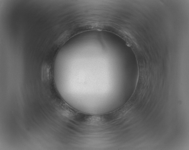 X0000073990123200609061008