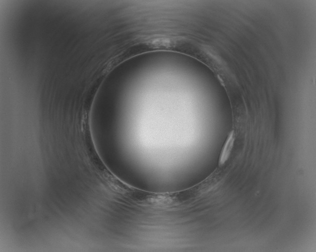 X0000073990125200609061008