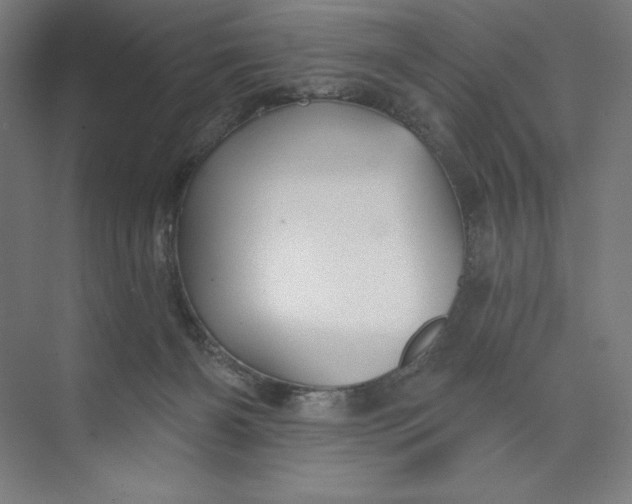 X0000073990126200609061007