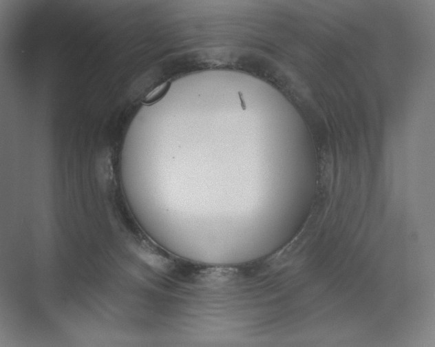 X0000073990128200609061007