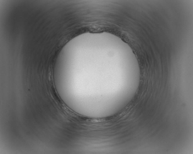 X0000073990129200609061007