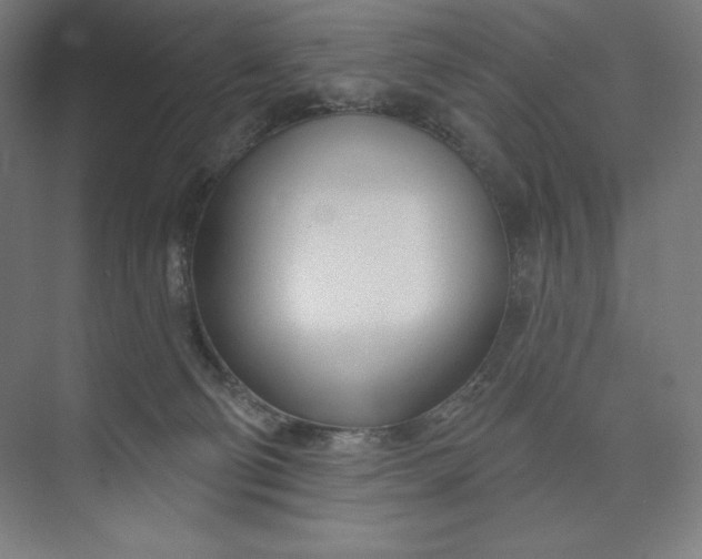 X0000073990130200609061007