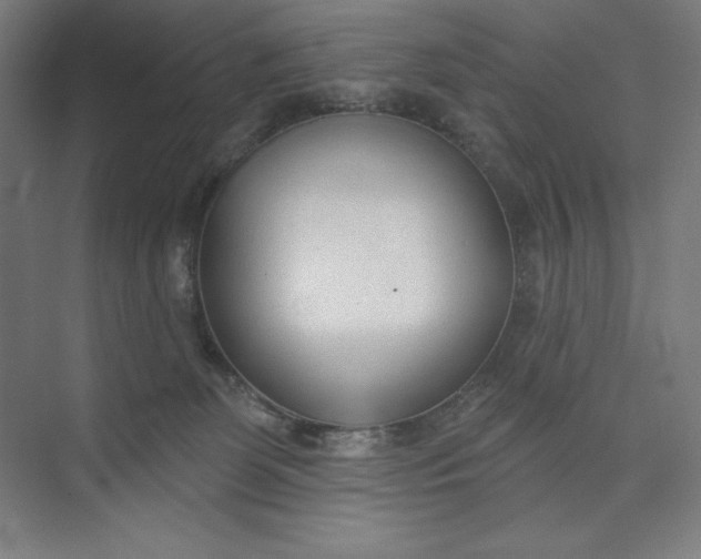 X0000073990131200609061007