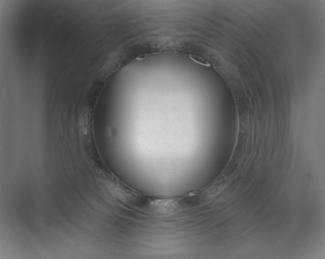 X0000073990133200609061007