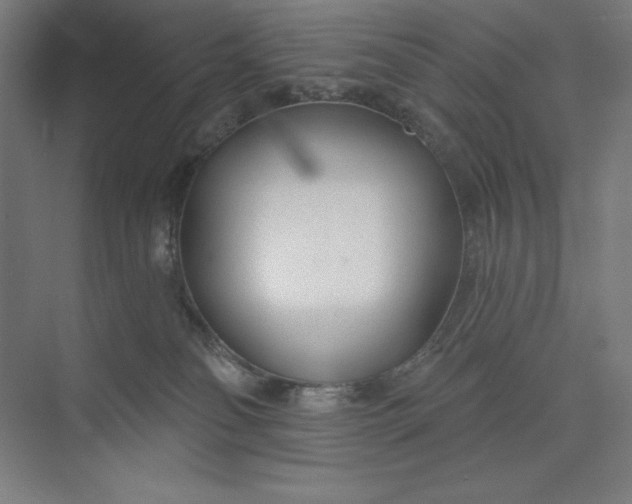 X0000073990134200609061007