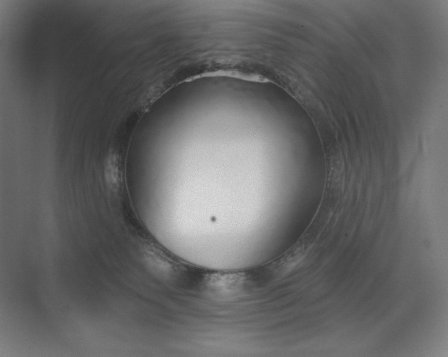 X0000073990135200609061007