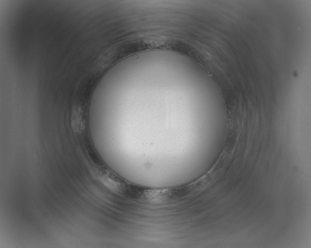 X0000073990136200609061007