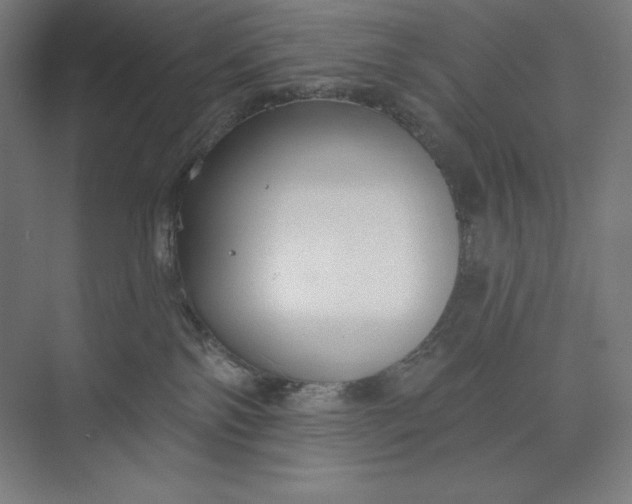 X0000073990138200609061007