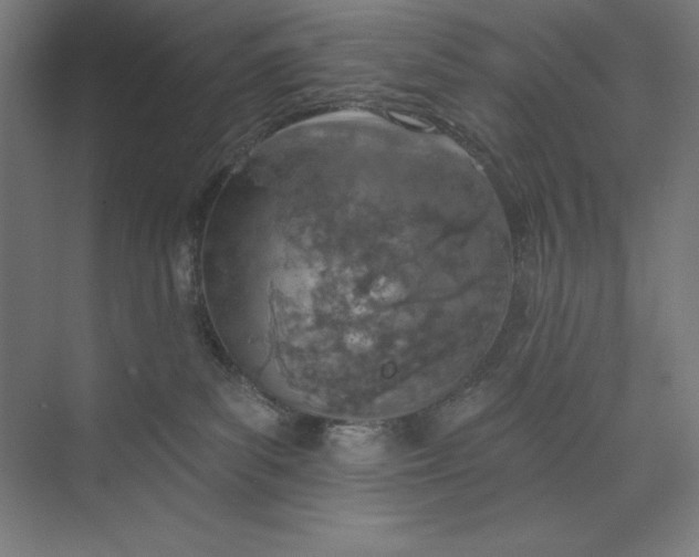 X0000073990139200609061007