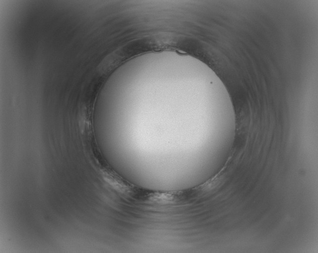 X0000073990140200609061007