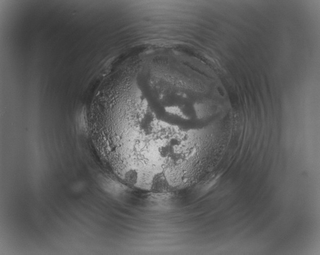 X0000073990143200609061007