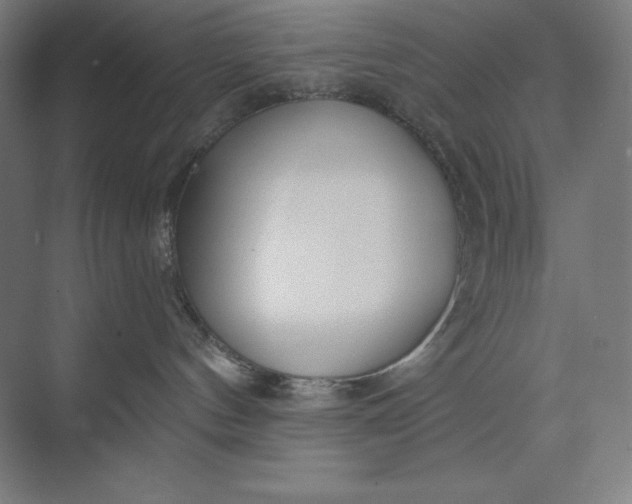 X0000073990144200609061007