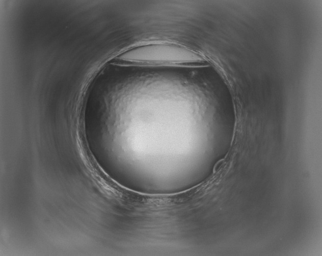 X0000073990145200609061006