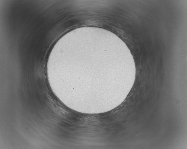 X0000073990146200609061006