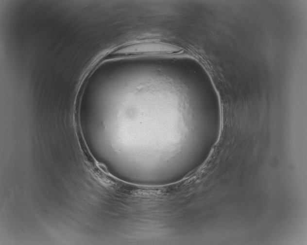 X0000073990147200609061006