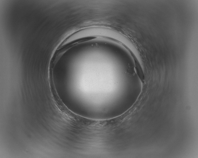 X0000073990148200609061006