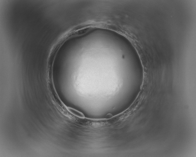 X0000073990149200609061006