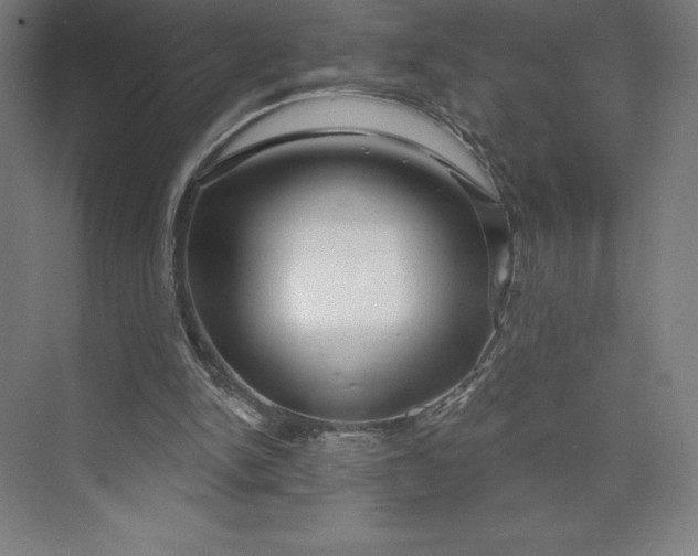 X0000073990150200609061006