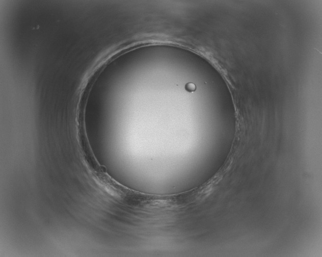 X0000073990151200609061006