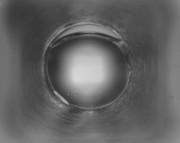 X0000073990152200609061006