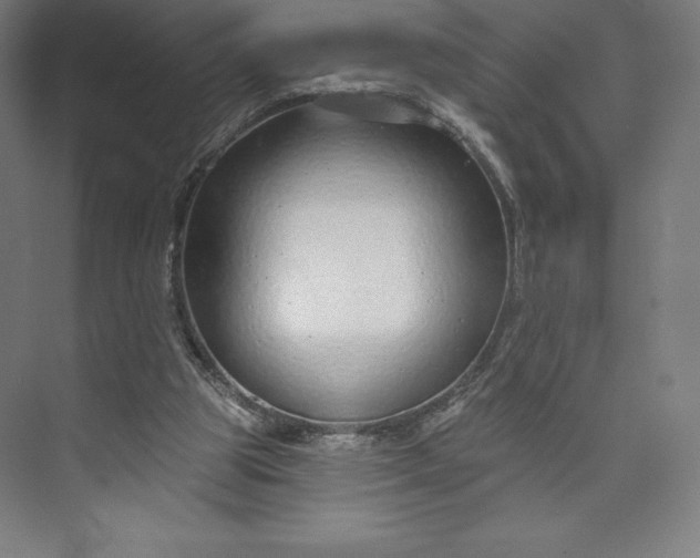 X0000073990153200609061007