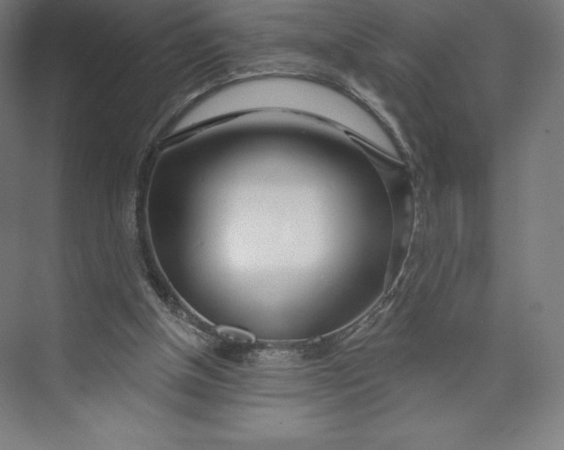 X0000073990154200609061007