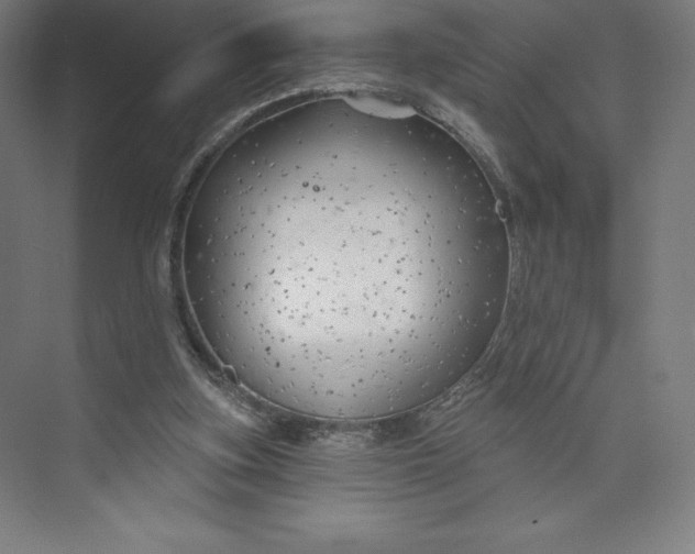 X0000073990155200609061007