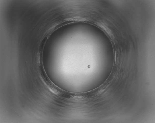 X0000073990157200609061007