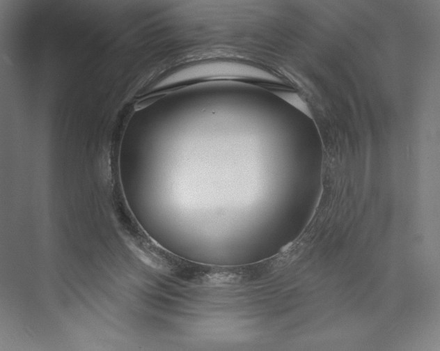 X0000073990158200609061007