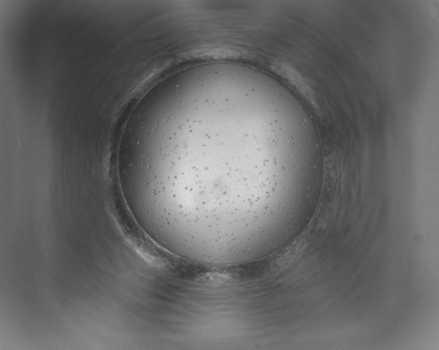 X0000073990159200609061007