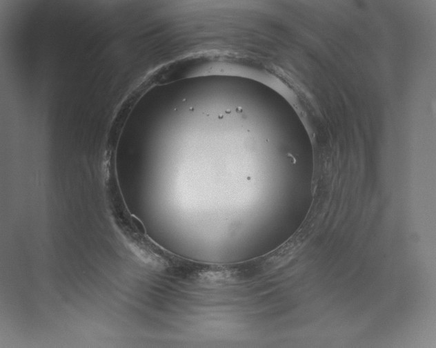 X0000073990160200609061007