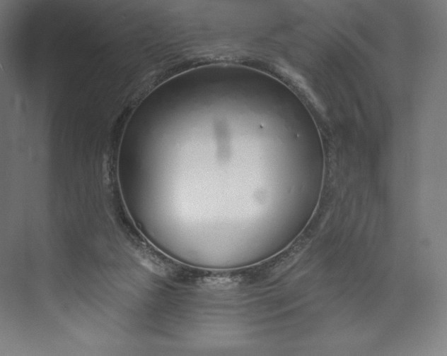 X0000073990161200609061007