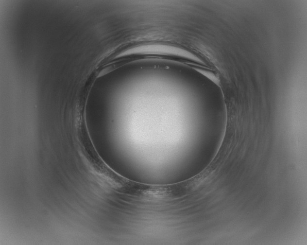 X0000073990164200609061007