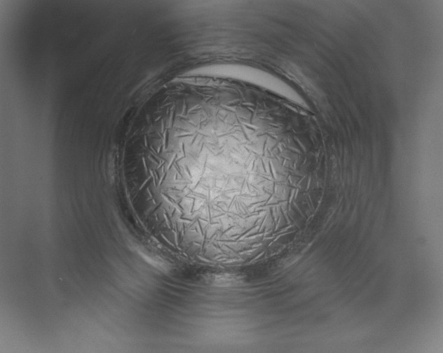 X0000073990165200609061007