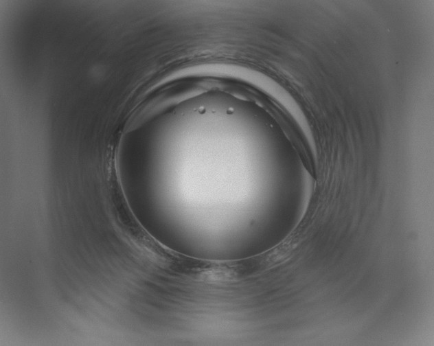 X0000073990168200609061007