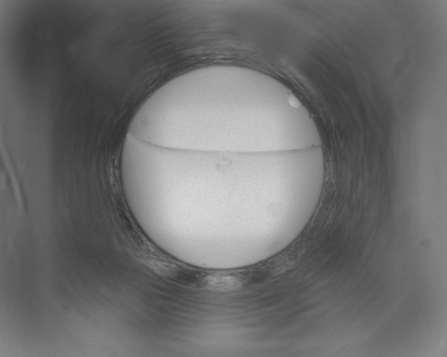 X0000073990169200609061007