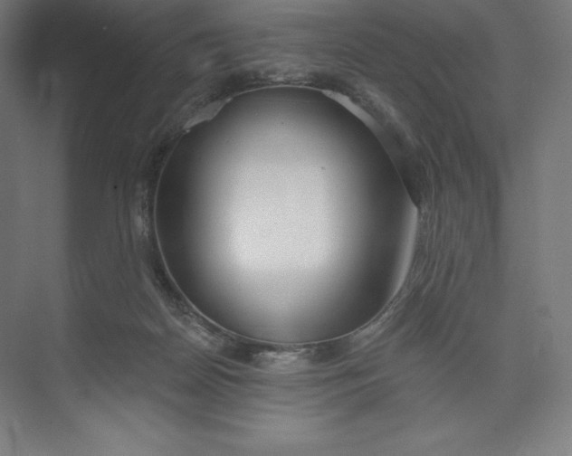 X0000073990170200609061007