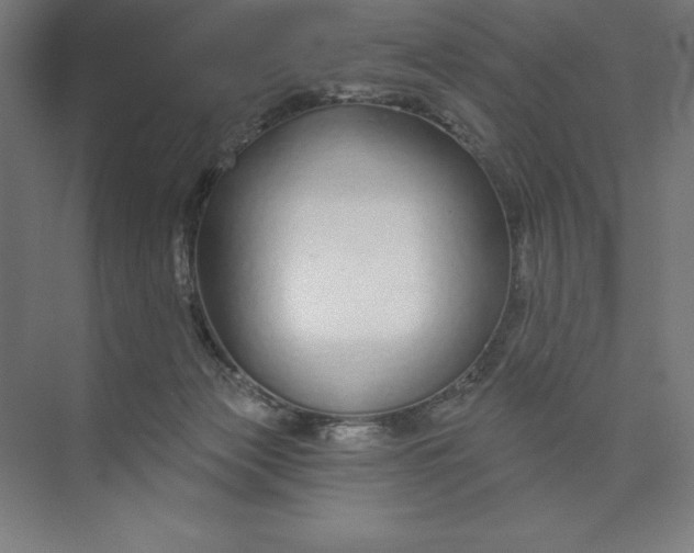 X0000073990173200609061007