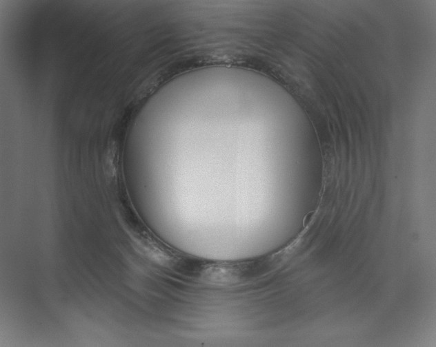 X0000073990174200609061007