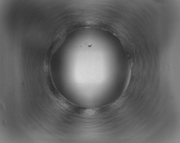 X0000073990176200609061007