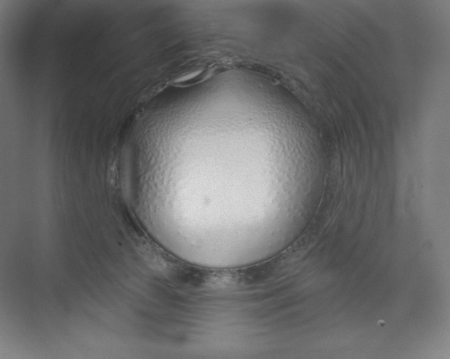 X0000073990177200609061007